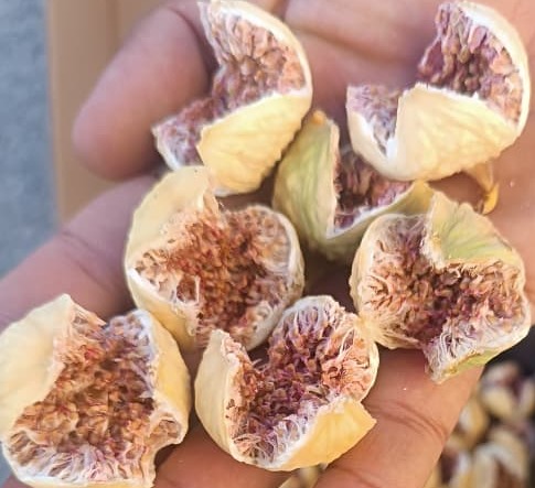 صادرات انجیر به چین + خرید به صرفه